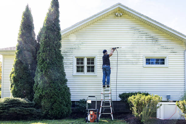 Fence Pressure Washing in Lexington, MI